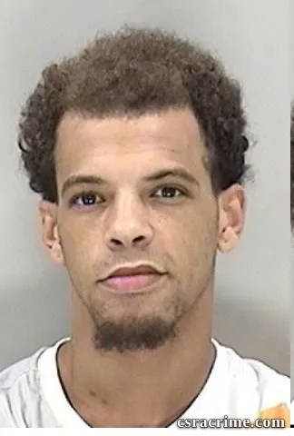 Joshua Lovett booking photo