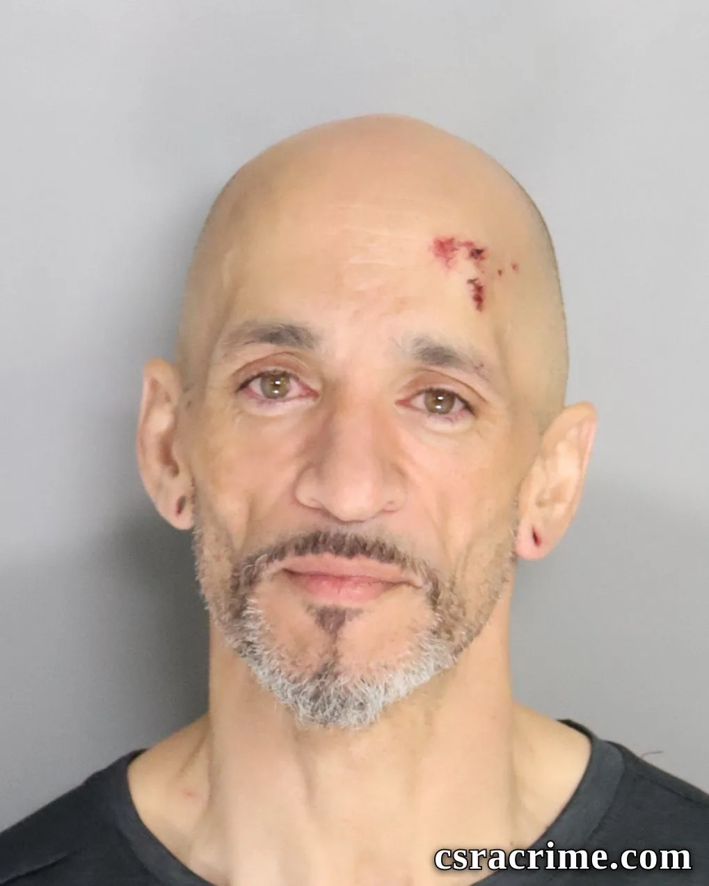 Joshua Mulligan booking photo