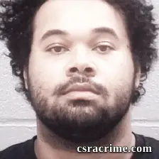 Joshua Nelson booking photo