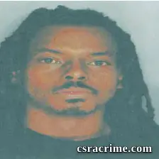 Joshua Phillips booking photo