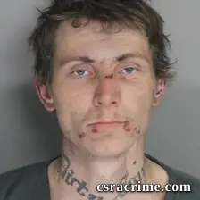 Joshua Powell booking photo