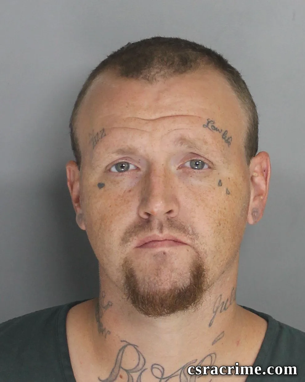 Joshua Ross booking photo