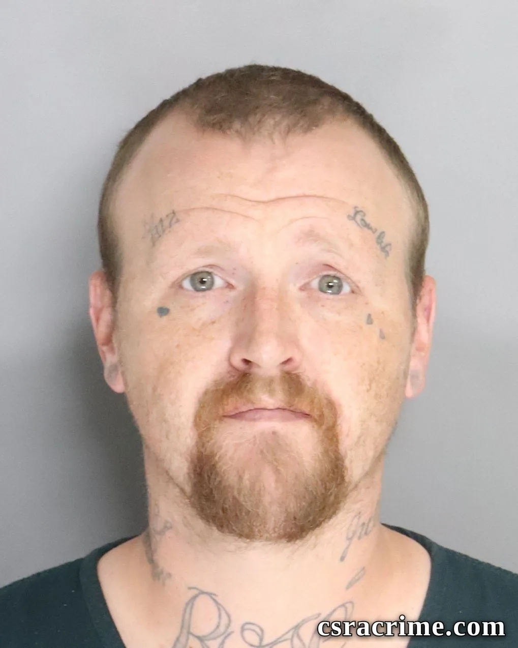 Joshua Ross booking photo