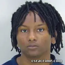 Joshua Turner booking photo