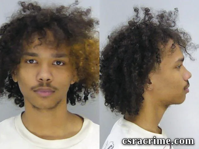Joshua Walker booking photo