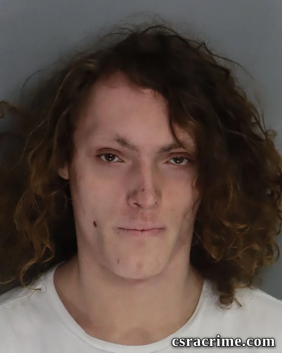 Joshua Watson booking photo