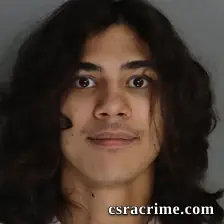 Joshua Wertz JR booking photo