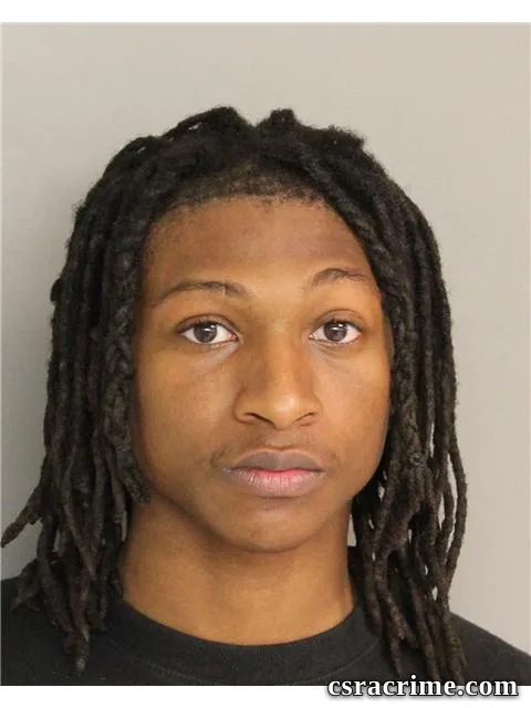 Joshua Williams booking photo