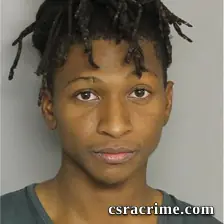 Joshua Williams booking photo