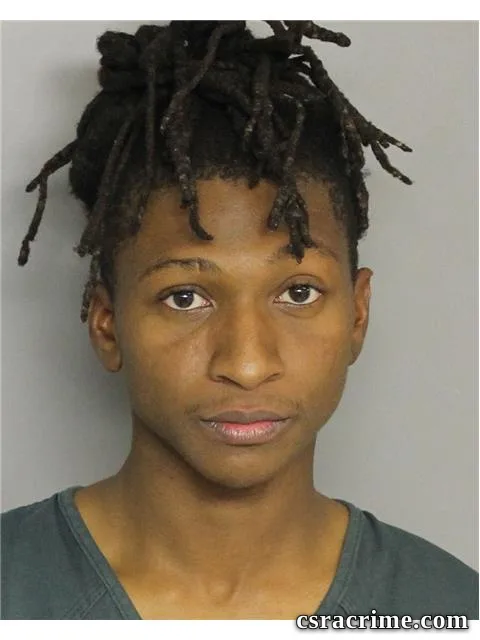 Joshua Williams booking photo