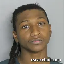Joshua Williams booking photo
