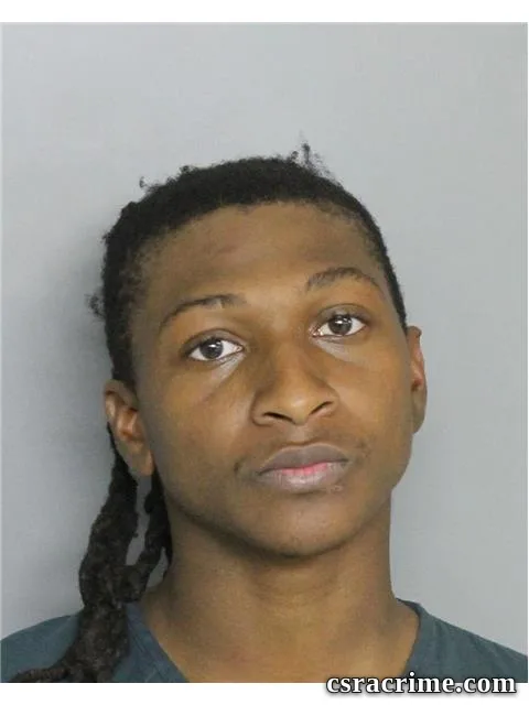 Joshua Williams booking photo