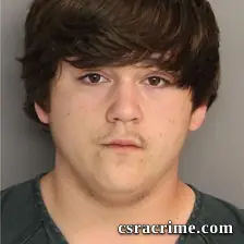 Joshua Williamson booking photo