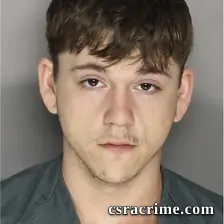 Joshua Williamson booking photo