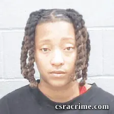 Journae Young booking photo