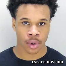 Journee Sullivan booking photo