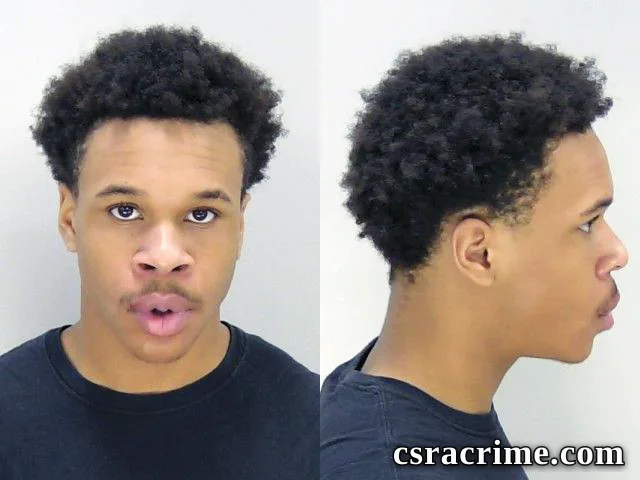 Journee Sullivan booking photo