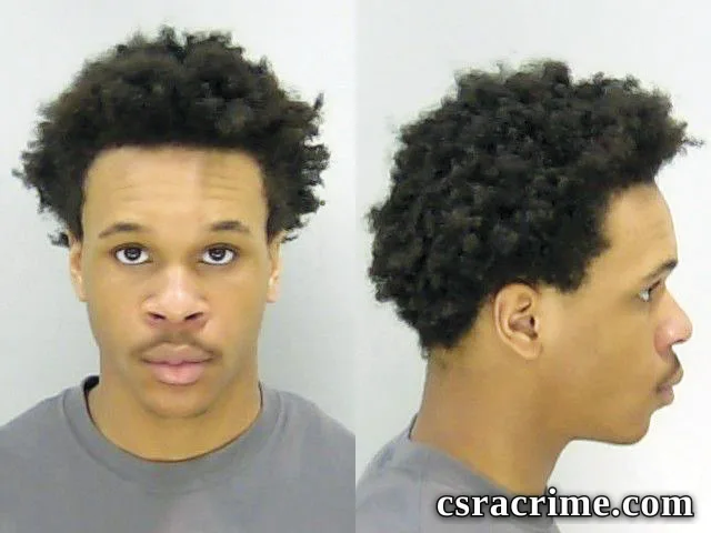 Journee Sullivan booking photo
