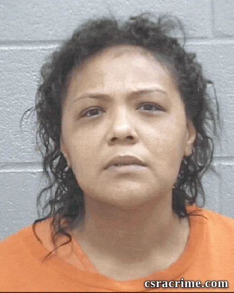 Joy Hunt booking photo