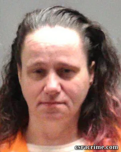 Joyce Estelle Moyer booking photo