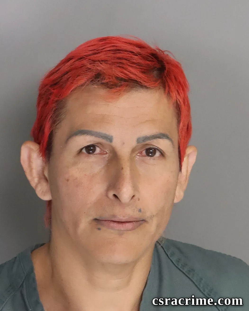 Juan Ortiz-Hernandez booking photo