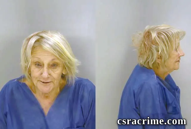 Judie Hinson booking photo
