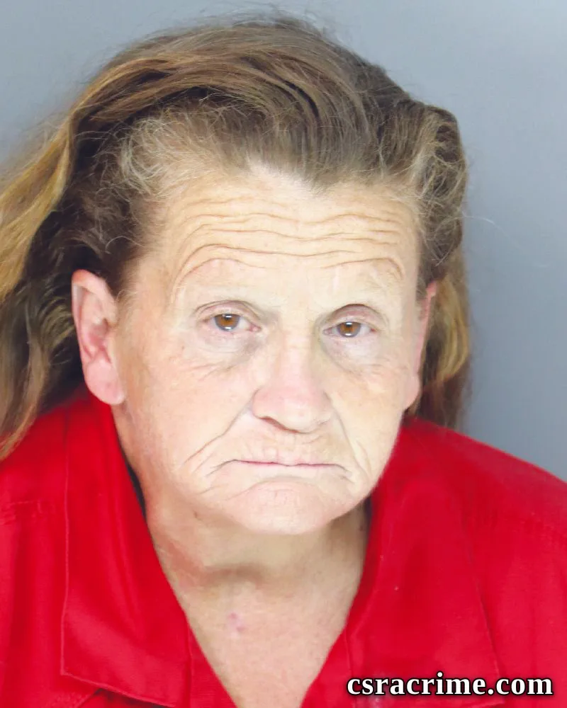 Julia Lowe booking photo