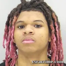Julian Ellis booking photo