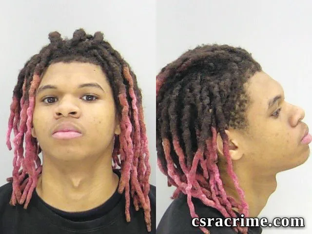 Julian Ellis booking photo