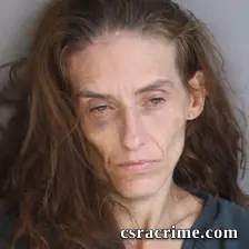 Julie Horton booking photo