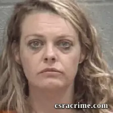 Julie Lynn Robinson booking photo