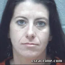 Julie Polk booking photo