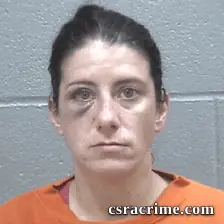 Julie Polk booking photo