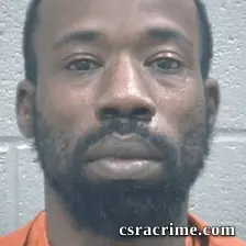 Justice Ellison booking photo