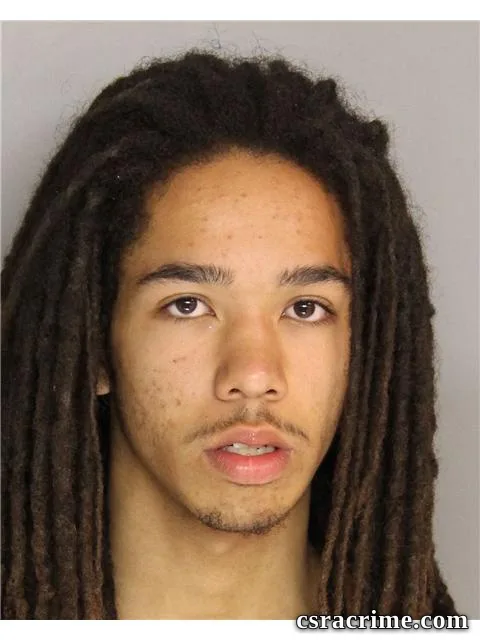 Justin Hanks booking photo