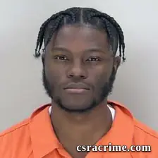 K Lan Wilson booking photo