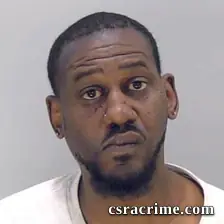 Kareen Irby booking photo