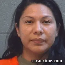 Karen Austin booking photo