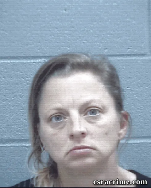 Karen Brady booking photo