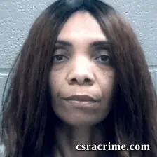 Karen Colon booking photo