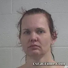 Karen Michelle Craig booking photo