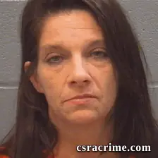 Karen Vallee booking photo