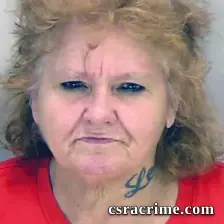 Karen Williams booking photo
