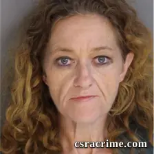 Karen Williams booking photo