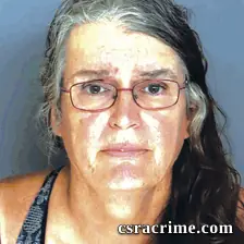 Kari Ling booking photo
