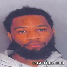 Karon Williams booking photo