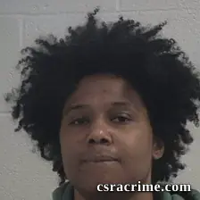 Kassandra Marie Young booking photo