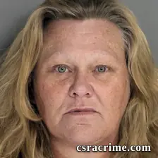 Katey Perkins booking photo