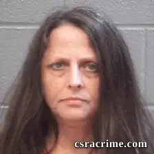 Kathi Lett booking photo