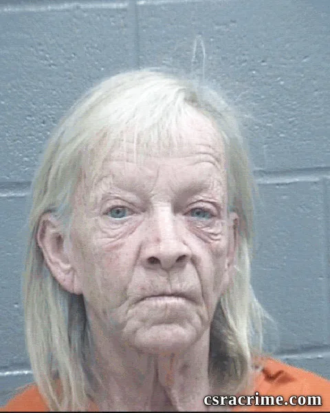 Kathy Adkins booking photo